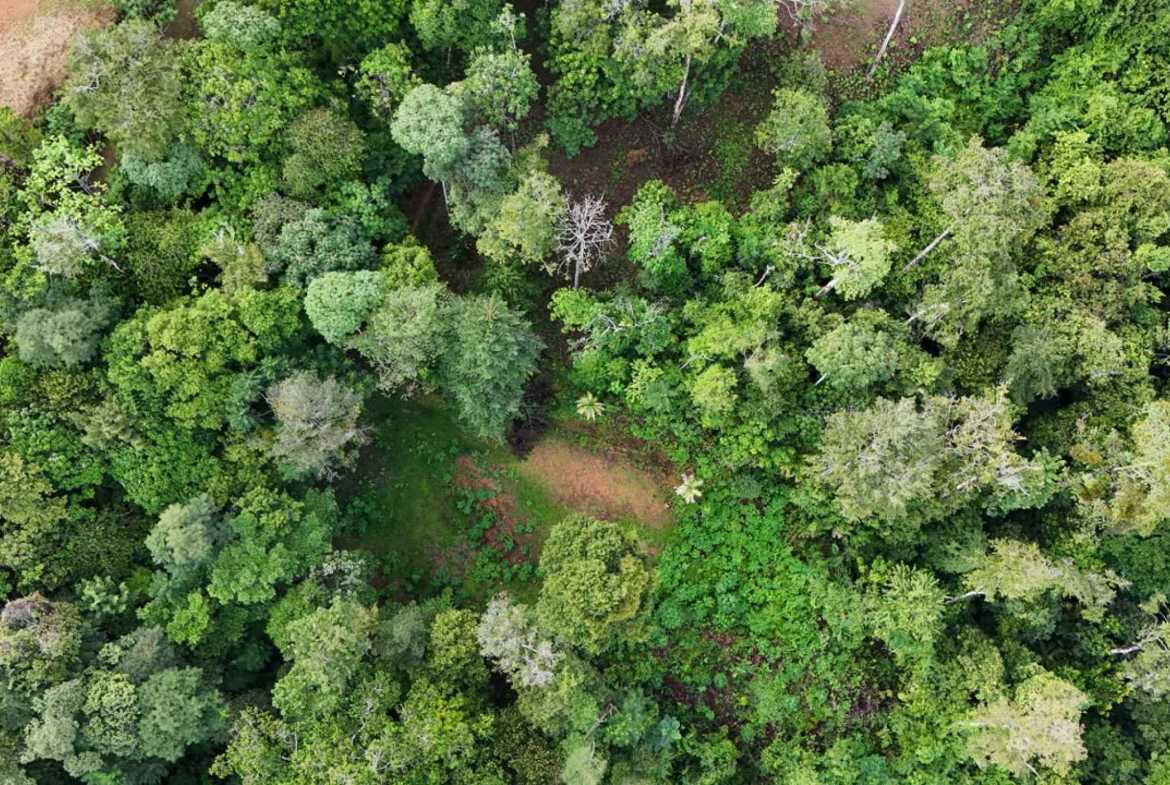 1.7-acre lot in Uvita, Costa Rica – photo 27 of 34
