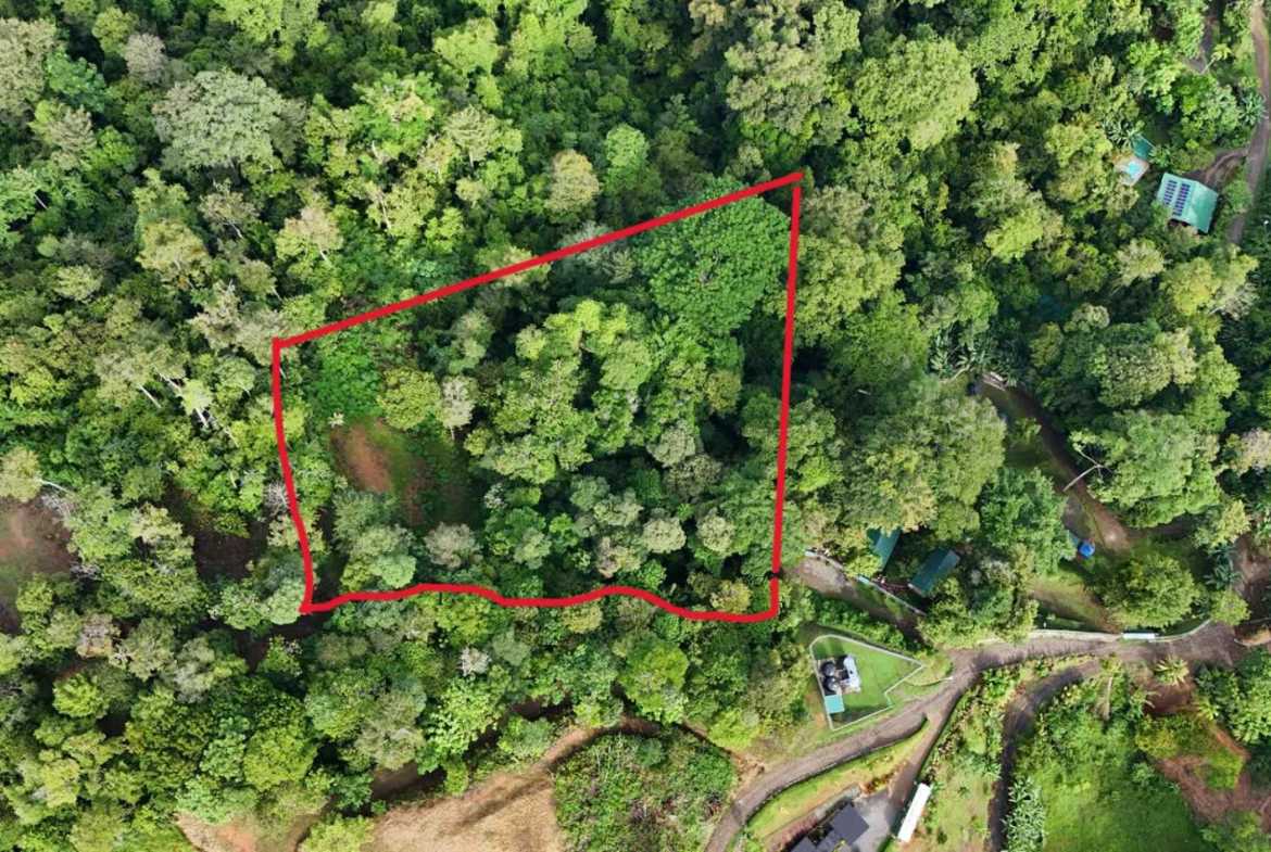 1.7-acre lot in Uvita, Costa Rica – photo 28 of 34