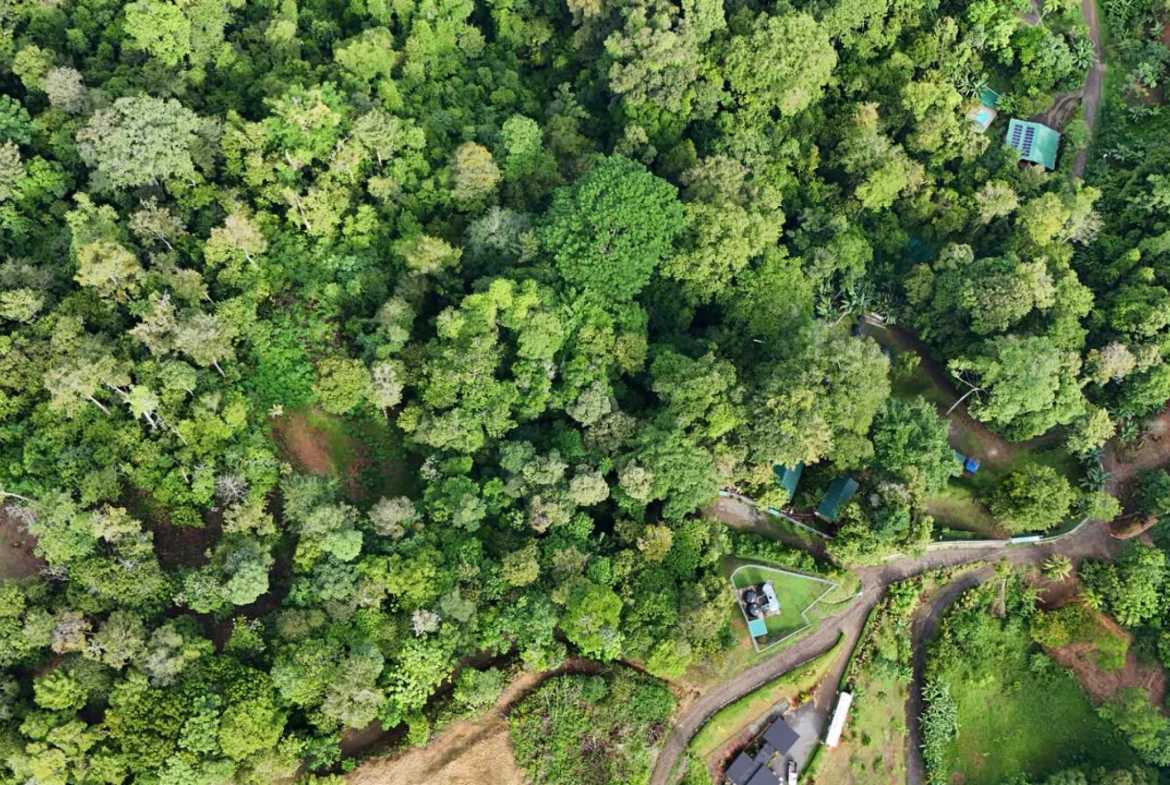 1.7-acre lot in Uvita, Costa Rica – photo 29 of 34
