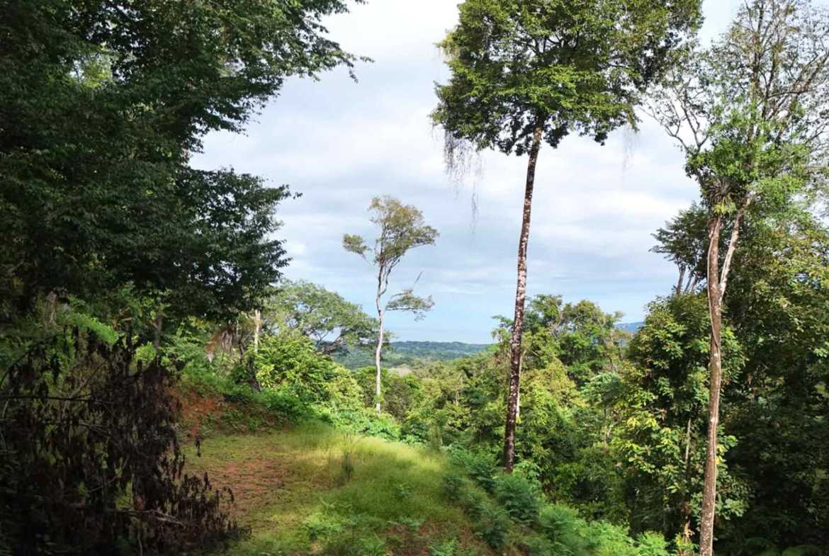 1.7-acre lot in Uvita, Costa Rica – photo 32 of 34