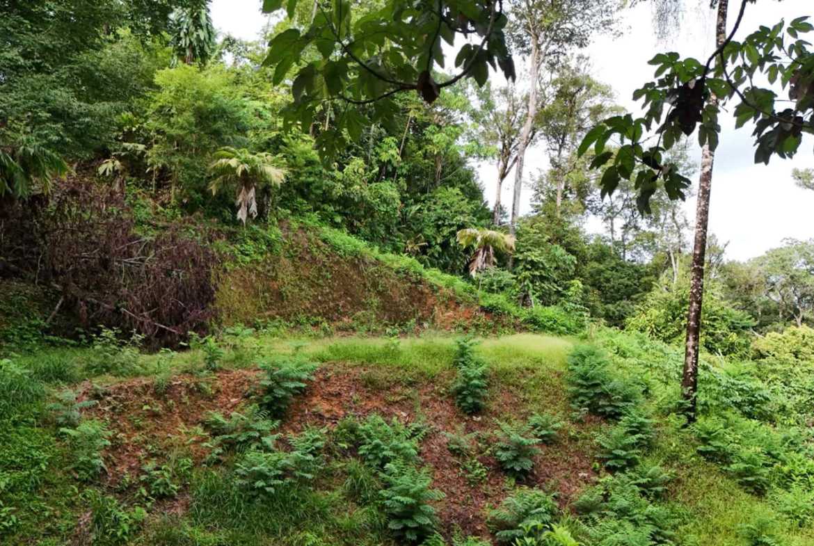 1.7-acre lot in Uvita, Costa Rica – photo 33 of 34