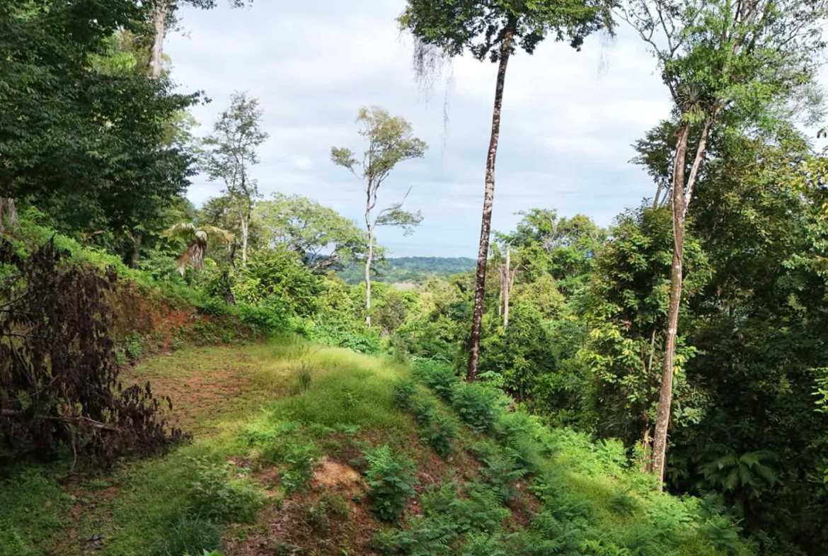 1.7-acre lot in Uvita, Costa Rica – photo 34 of 34