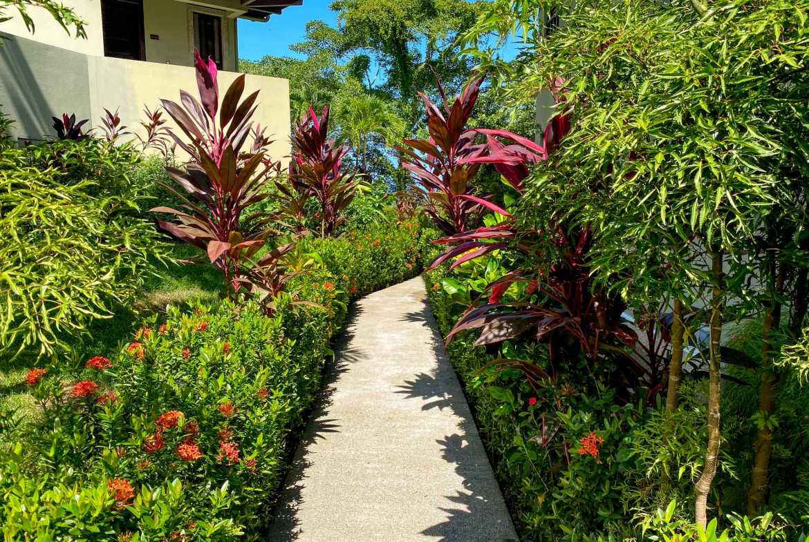 2-bedroom home in Dominicalito, Costa Rica – photo 43 of 59