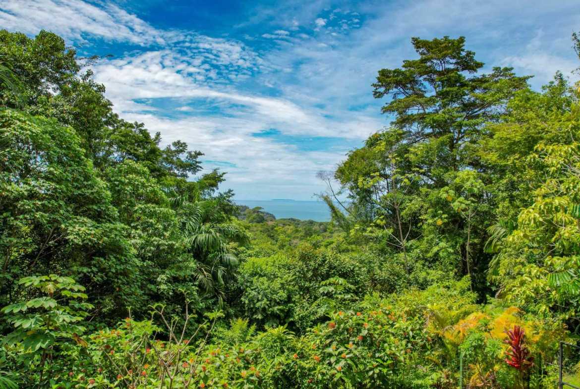 2-bedroom home in Ojochal, Costa Rica – photo 26 of 27